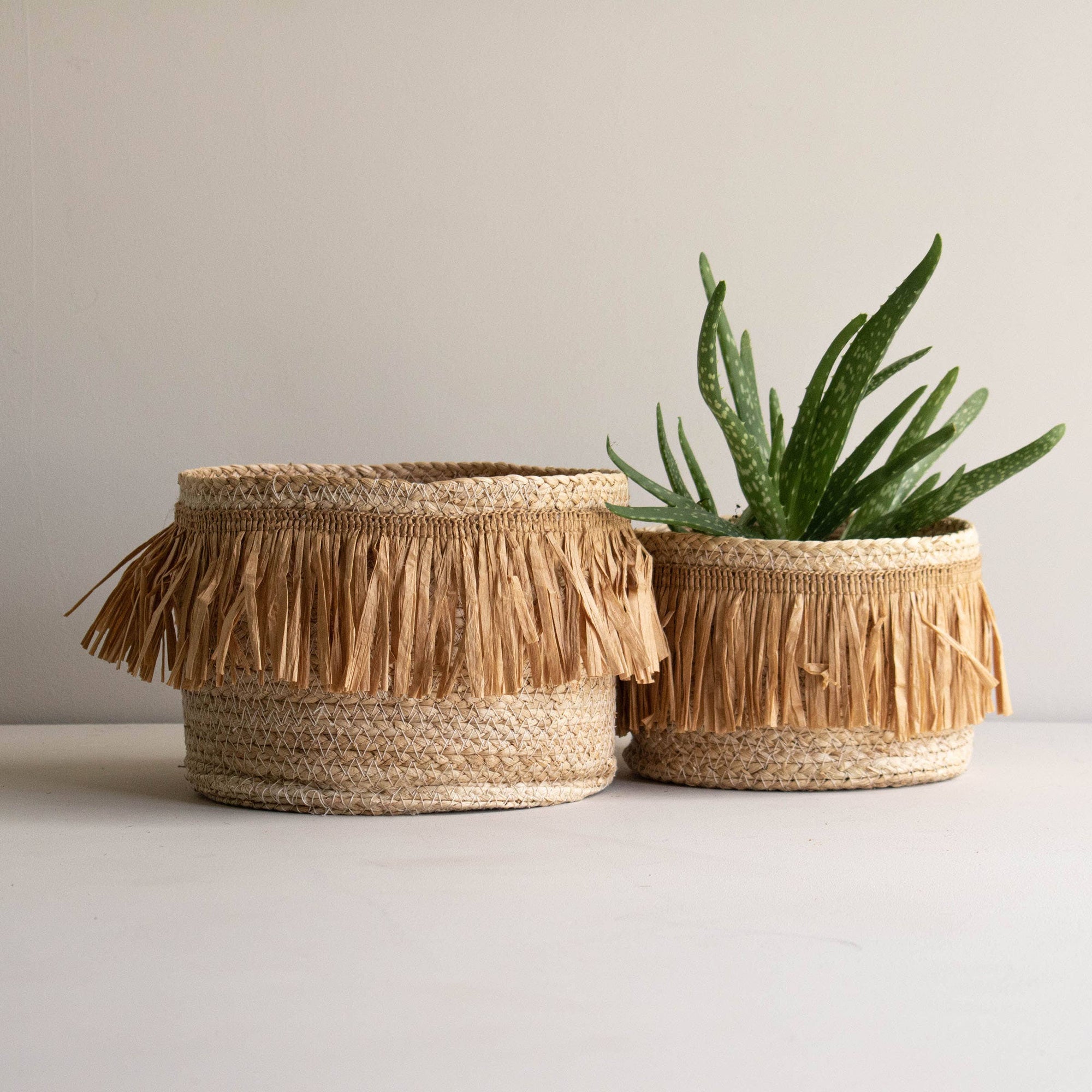 Set of 2 Arlo Natural Woven Baskets